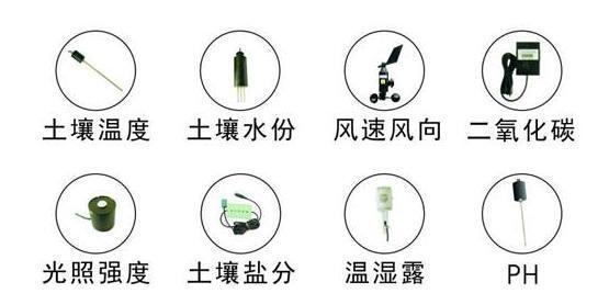 農(nóng)業(yè)物聯(lián)網(wǎng)技術是未來農(nóng)業(yè)發(fā)展的重要支柱