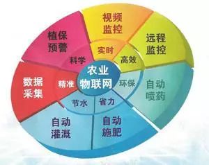 科普：滴灌智能控制系統(tǒng)